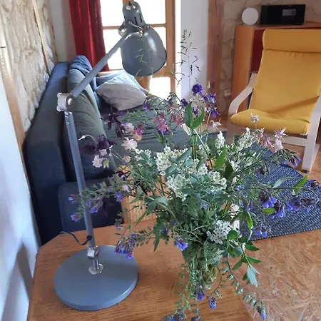 Ruhe- Und Rueckzugsort Im Naturnahen Garten Apartment Jakobshagen