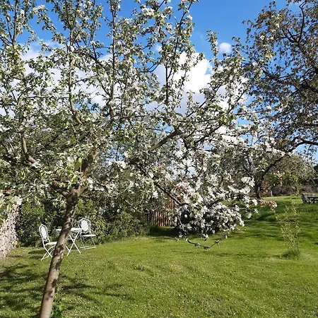 Ruhe- Und Rueckzugsort Im Naturnahen Garten *