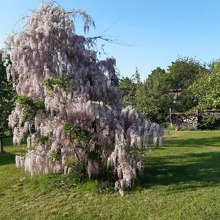 Ruhe- Und Rueckzugsort Im Naturnahen Garten Apartment *