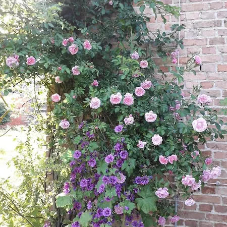Apartment Ruhe- Und Rueckzugsort Im Naturnahen Garten *