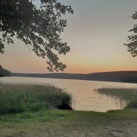 Ruhe- Und Rueckzugsort Im Naturnahen Garten Apartment *